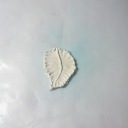 5 cut out leaf shape