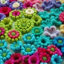 woolly flowers