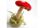 CraftArtEdu Inger Maaike Mushroom Class