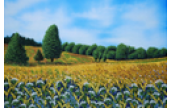 CraftArtEdu-Margaret-VantErve-Meadow-Landscape-with-Margaret-Vant-Erve.png