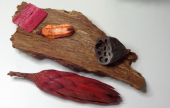     Fantastic Oyumaru: A Free Product Tutorial with Sylvie Peraud