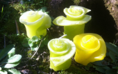   Sculpted Flower Candles with Gary Simmons