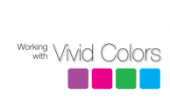 Quick Color Confidence: Vivid Colors with Margie Deeb